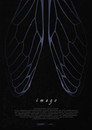 Imago