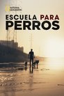 Poster de Escuela para perros
