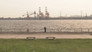 Hooked on Fishing in Tokyo Bay