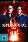 Staffel 5