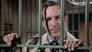 Image Hill Street Blues