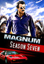 Magnum, P.I.