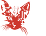 Indie Film as Indie Film as