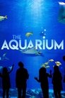 The Aquarium Episode Rating Graph poster