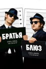 Постер: The Blues Brothers
