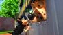 Jurassic Bark