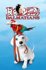 Official movie poster for 102 Dalmatians (2010)
