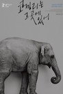 코끼리는 그곳에 있어
