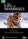 The Life of Mammals Episode Rating Graph poster