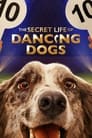 مترجم أونلاين وتحميل كامل The Secret Life of Dancing Dogs مشاهدة مسلسل