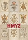 Hmyz Hmyz