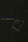 a scene of fallen leaves