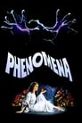 Movie poster for Phenomena (1985)