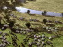 Battle of the Boyne