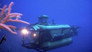 The Deepest Place on Earth
