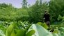 Swamp Stew: Michigan Bowfishing