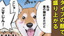 Fox Shiba and Tanuki Shiba 1 / Fox Shiba and Tanuki Shiba 2 / Snow White and Kaguya