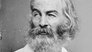 Part Two: The Civil War and Beyond (1861-1892)