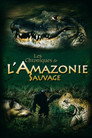 Les Chroniques de l'Amazonie Sauvage