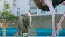 Street football