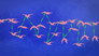 Are we more intelligent in swarms?