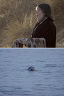 Seals'kin