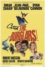 The Burglars