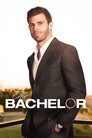 The Bachelor