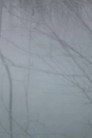 Winter Trees