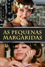 Poster de As Pequenas Margaridas