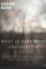 What Is Happiness