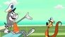 New Looney Tunes 3x29