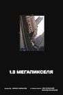 1.3 мегапикселя