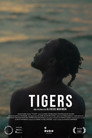 Tigers