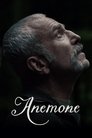 Anemone poster