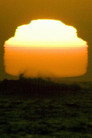 (HD). Sun (One Day Old) Teljes Film Magyarul (2008) Ingyen Online