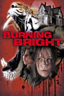 Poster van Burning Bright