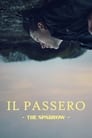 Il passero – The Sparrow