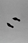 Cold Feet