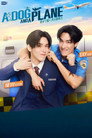 หมาเห่าเครื่องบิน