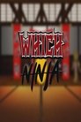 Which Ninja Episode Rating Graph poster