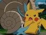 Image Pokémon