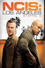 Staffel 8