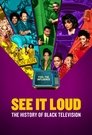 See It Loud: The History of Black Television Episode Rating Graph poster
