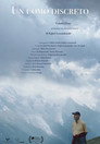 A Quiet Man