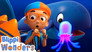 Ocean Sea Creatures!