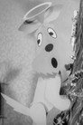 (HD). Goodwill To All Dogs Teljes Film Magyarul (1960) Ingyen Online