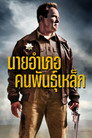 นายอำเภอคนพันธุ์เหล็ก นายอำเภอคนพันธุ์เหล็ก(2013)|ดูหนังออนไลน์ฟรี
