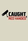 Caught Red Handed Episode Rating Graph poster