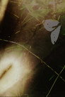 Garden Film